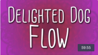 Title Card for Delighted Dog Flow yoga Class