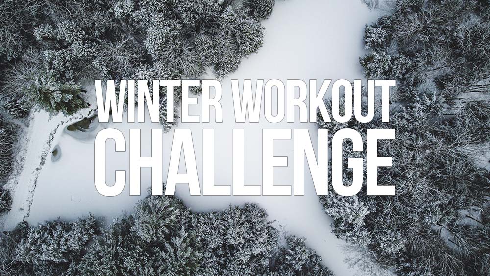 bird's eye view of frozen lake and trees with snow