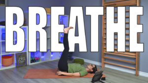 Carole Carter from Living Lotus Online on a yoga mat demonstrating yoga pose with blocks